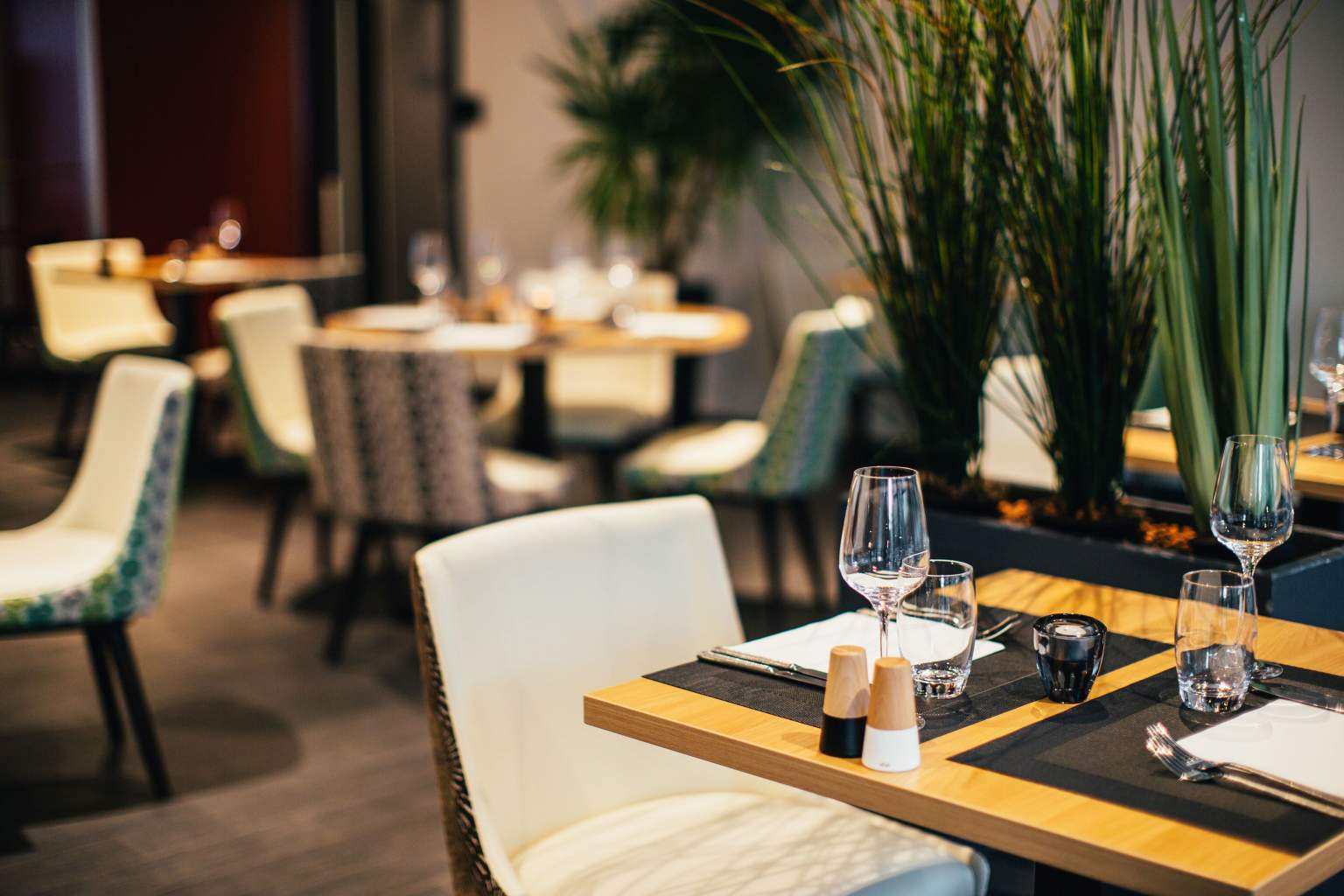 Ücretsiz Wifi Hizmeti