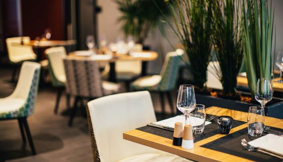 Ücretsiz Wifi Hizmeti